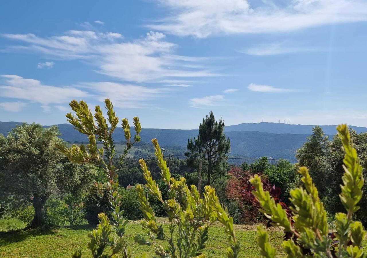 O Sossego Da Montaria Villa Viana do Castelo Eksteriør bilde