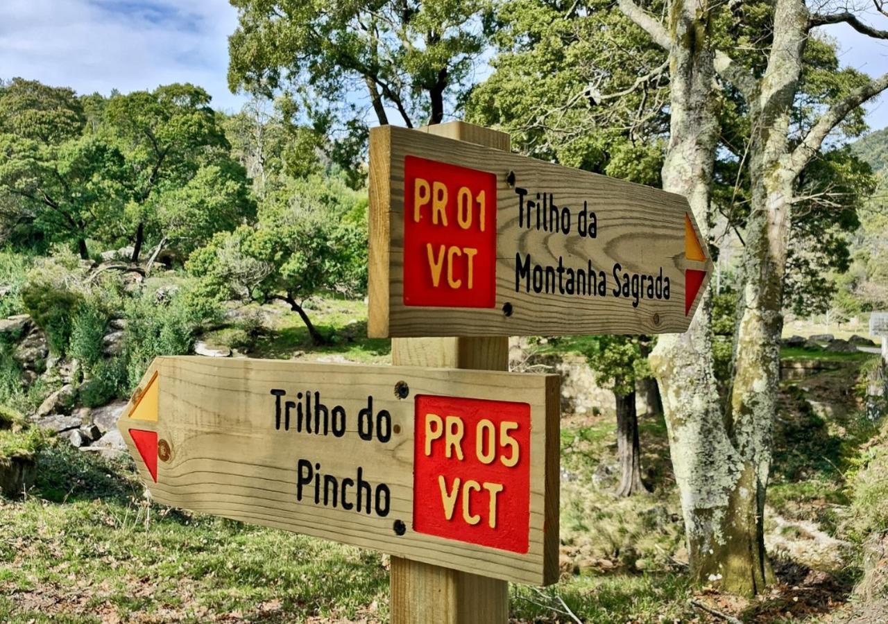 O Sossego Da Montaria Villa Viana do Castelo Eksteriør bilde
